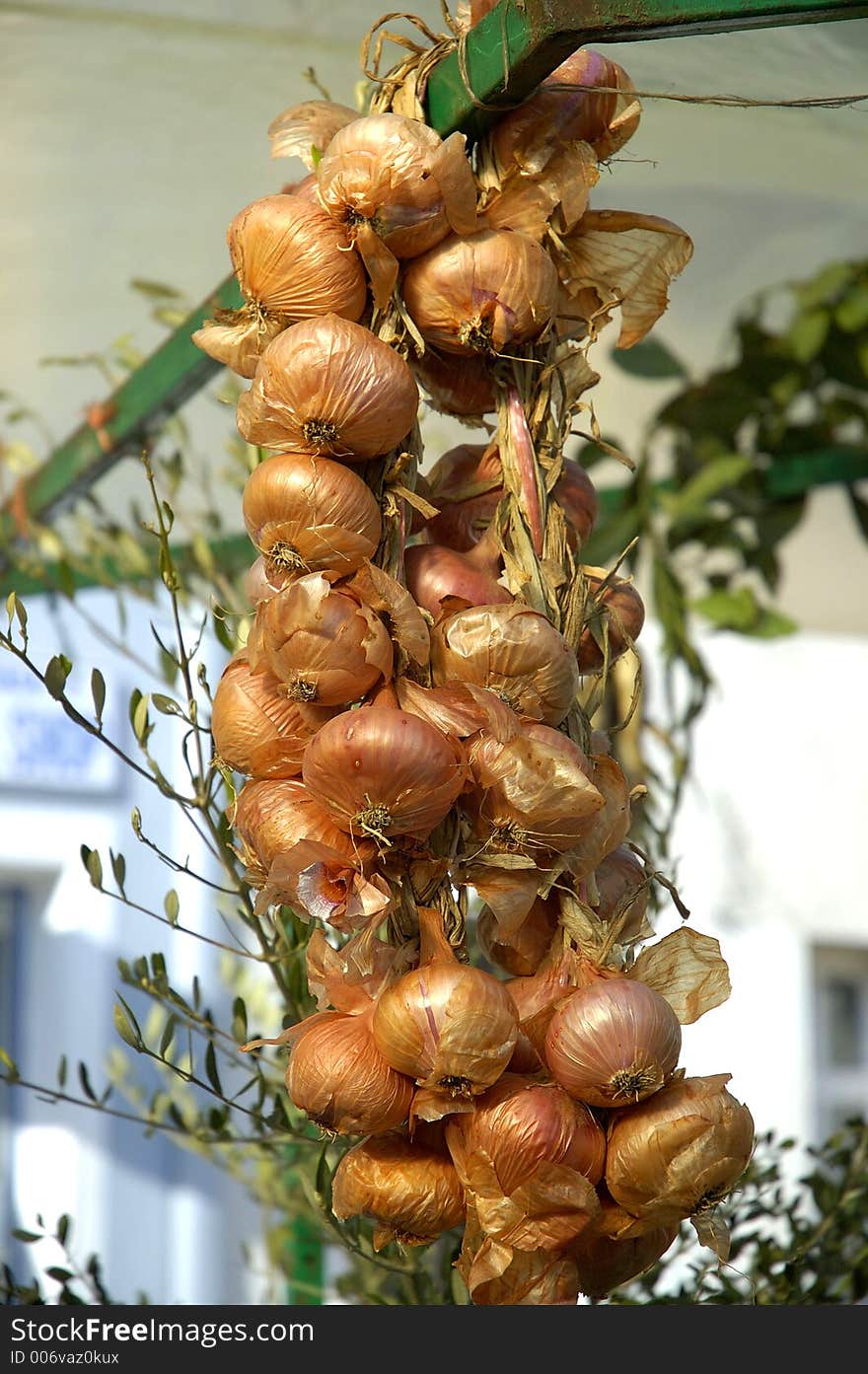 Onion on the festival of food in montenegro