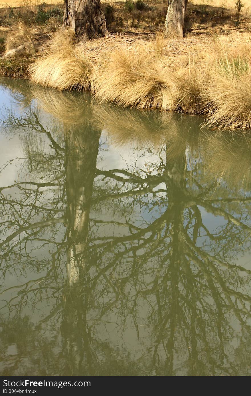 River Reflections