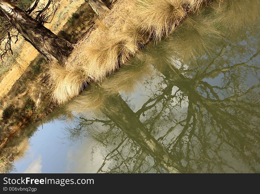 River Reflections