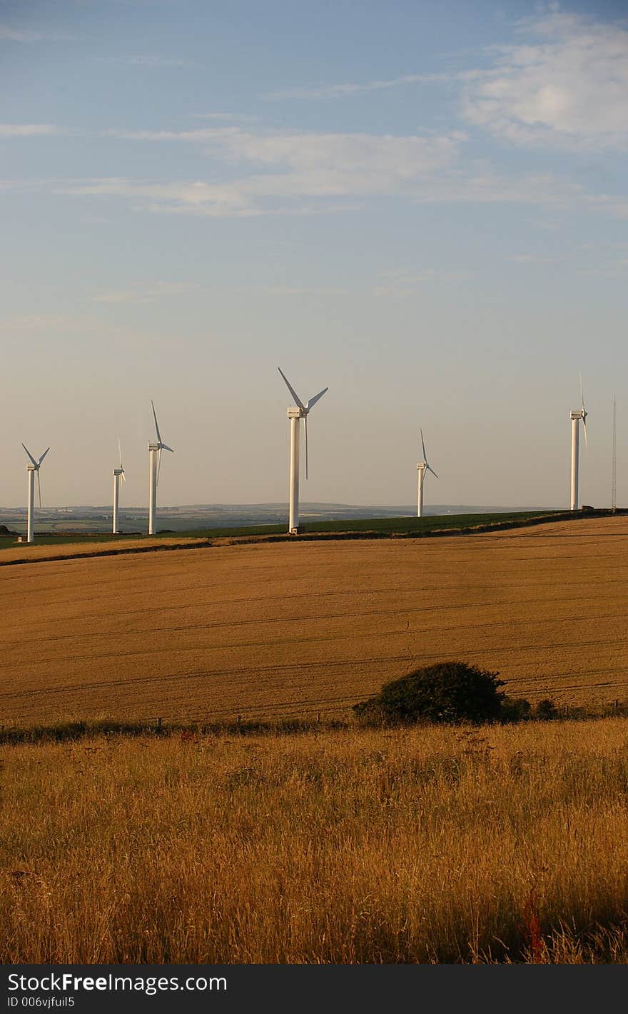 Wind Turbines in a field