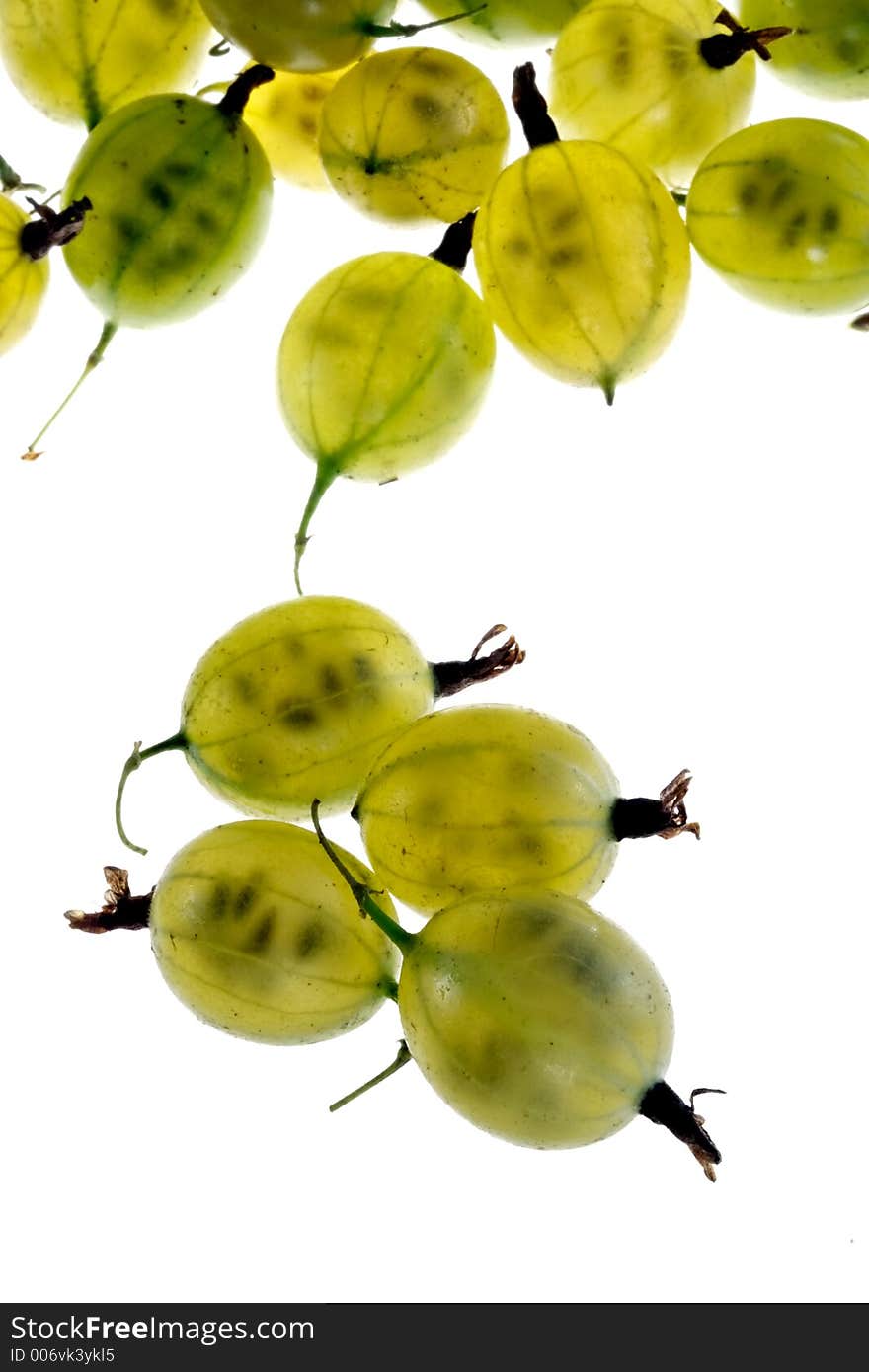 Juicy gooseberry