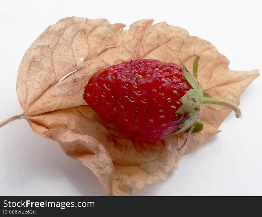 Berry and leaf