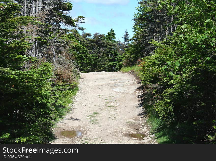 Country Path