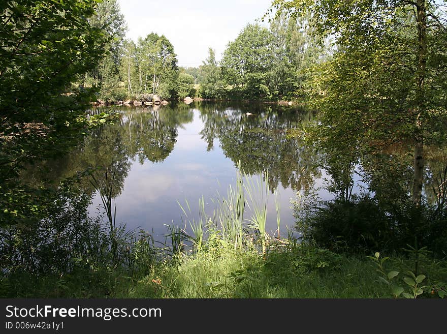 Dreamy lake with mirrored trees. Dreamy lake with mirrored trees