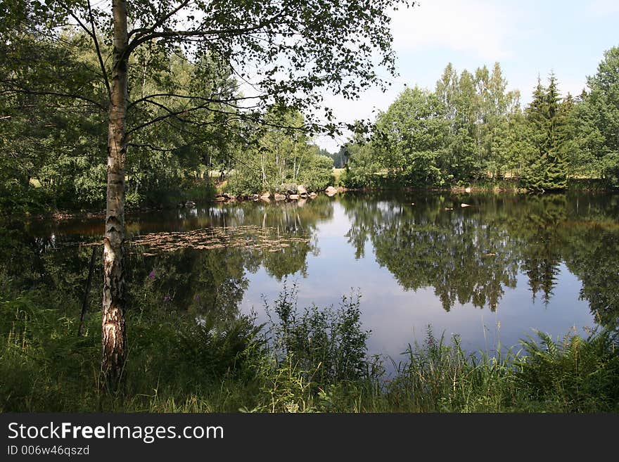 Nice lake, mirroring trees