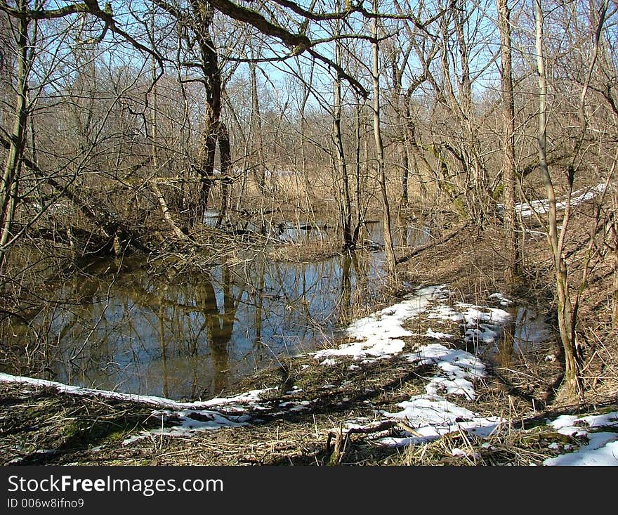 Spring landscape