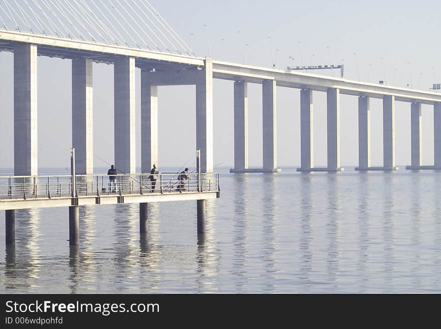 Vasco Da Gama Bridge