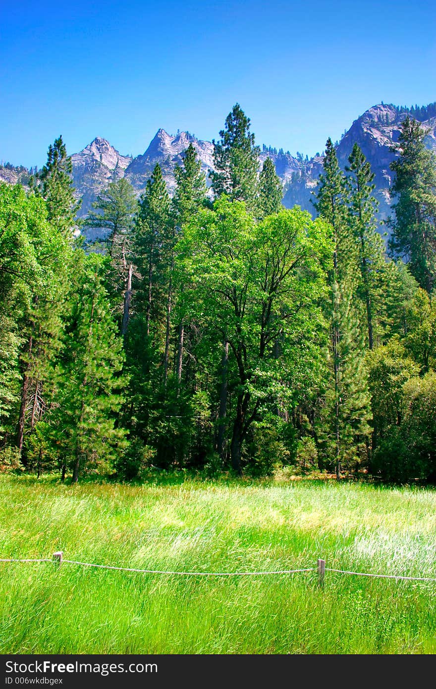 Yosemite National Park