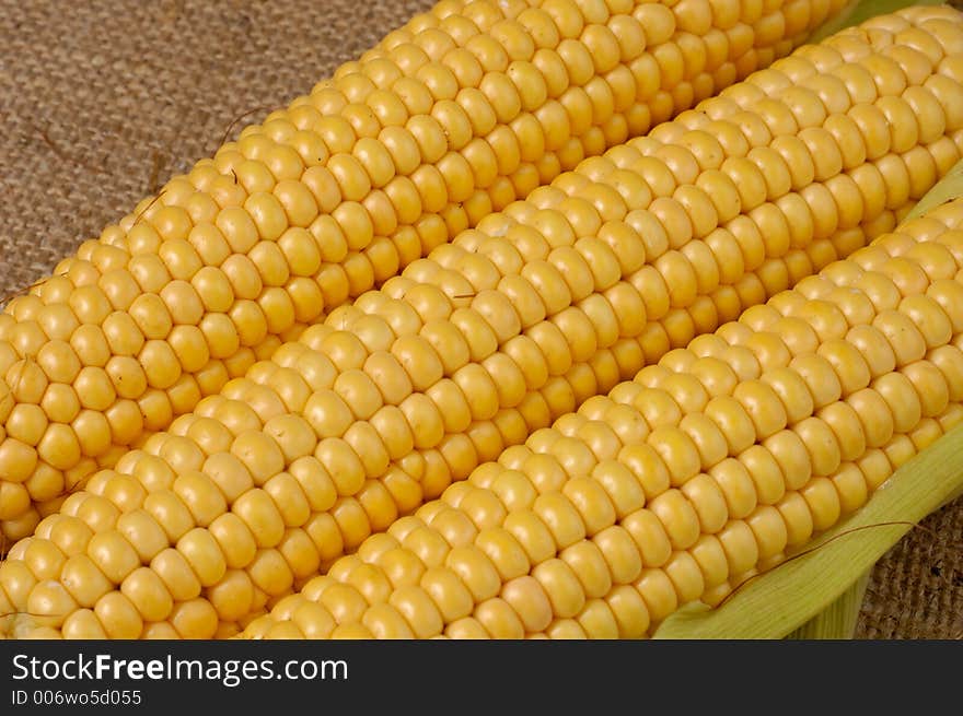 Three ears of corn closeup