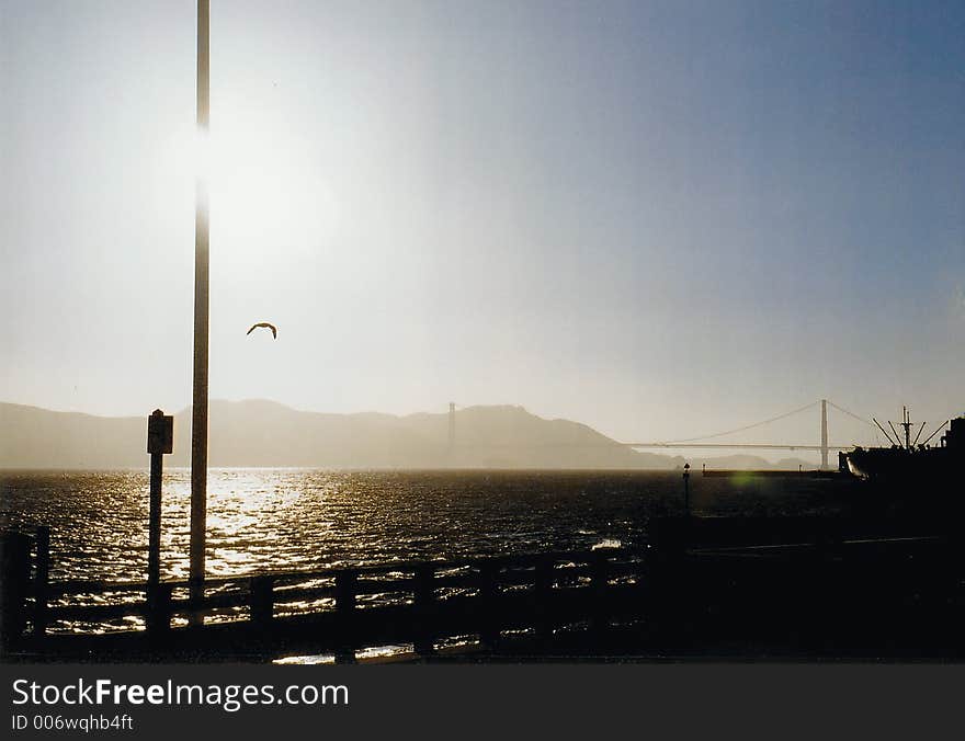 Picture taken of a seabird flying amidst silouettes of the San Francisco Bay and the Golden Gate at dusk

Taken on Canon EOS 300 with Kodak 200 film on 28-80mm lens on manual with 5.6 and AP 1/800. Picture taken of a seabird flying amidst silouettes of the San Francisco Bay and the Golden Gate at dusk

Taken on Canon EOS 300 with Kodak 200 film on 28-80mm lens on manual with 5.6 and AP 1/800