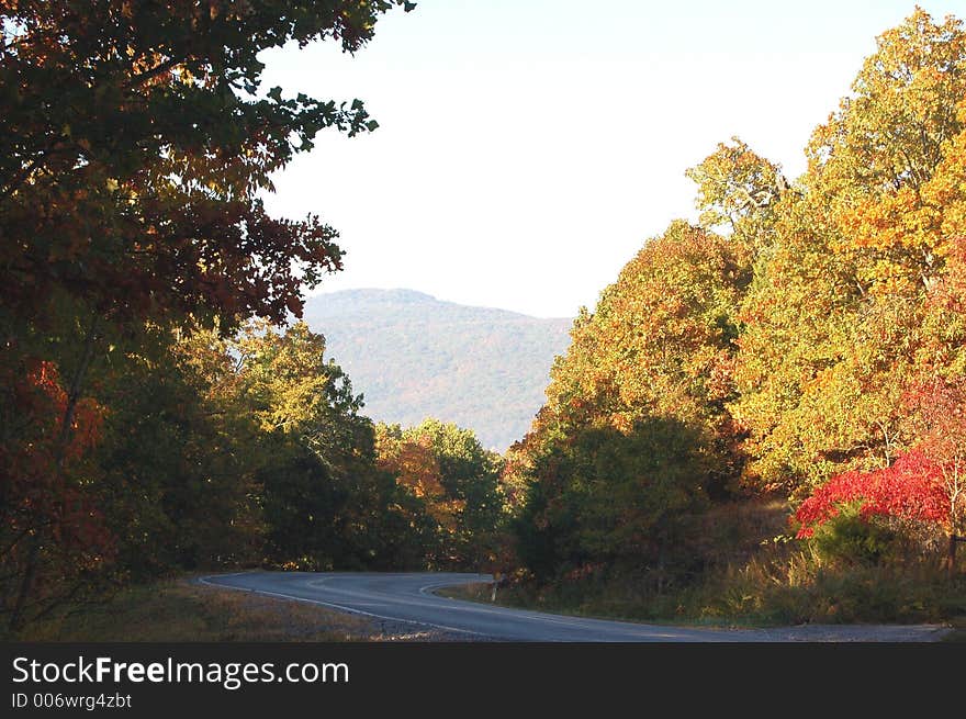 Autumn drive