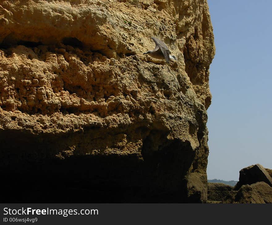 Gull and rocks I