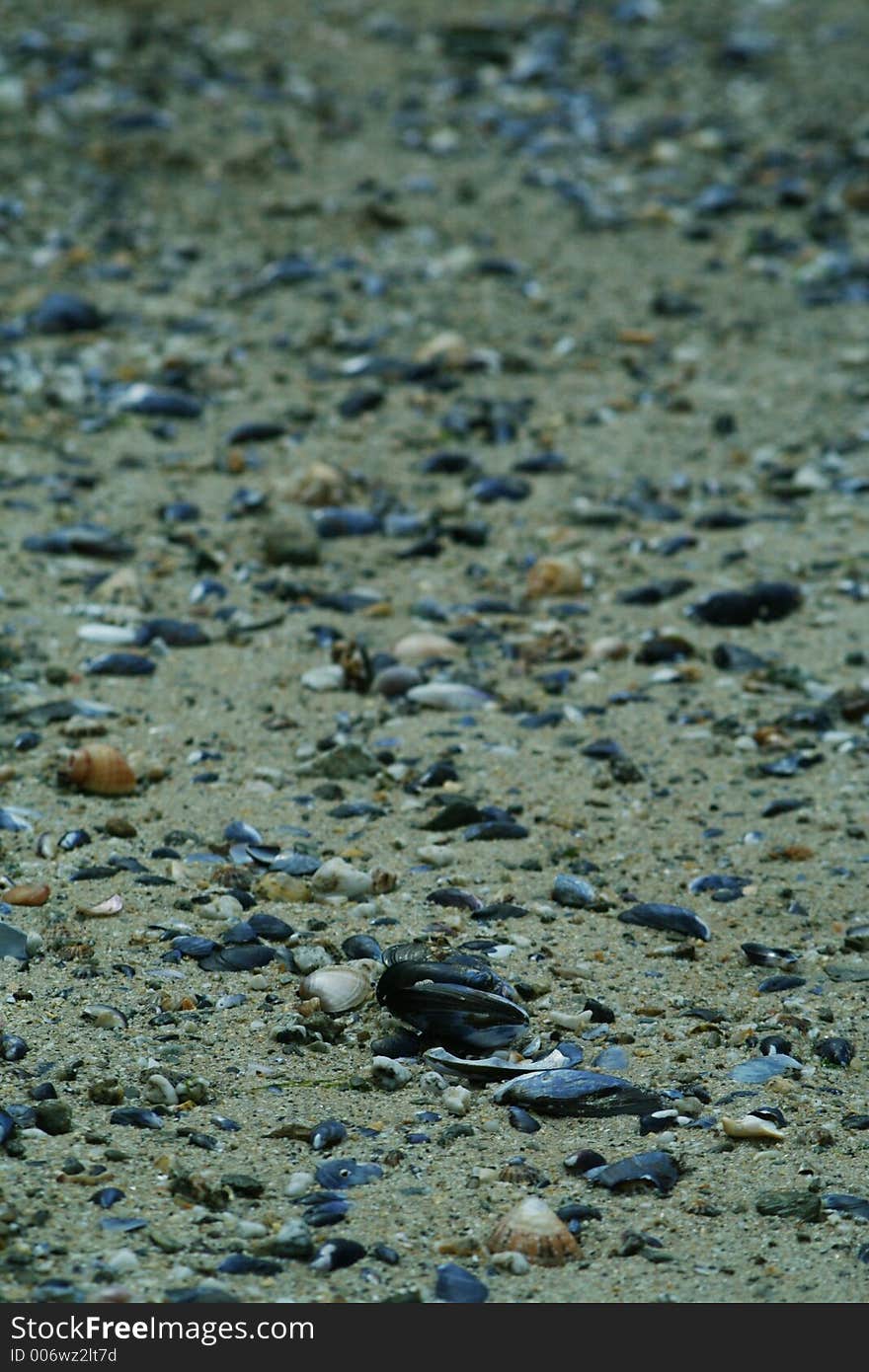 Cornish Beach