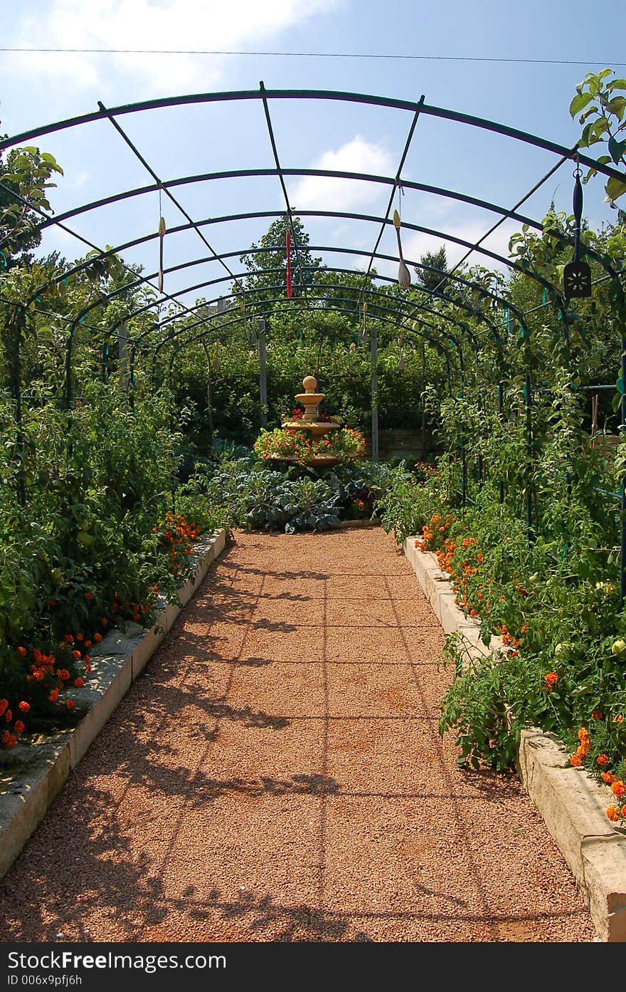 Garden pathway, clar blue sky. Garden pathway, clar blue sky