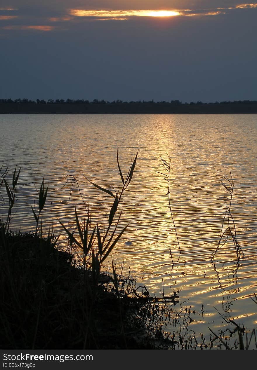 Estuary Molochniy