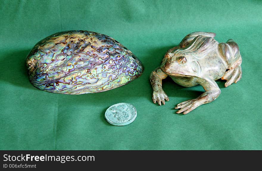 Shell frog coin. Shell frog coin