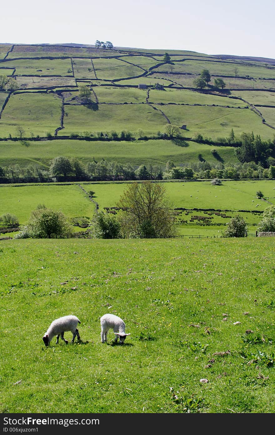 Rural Scene