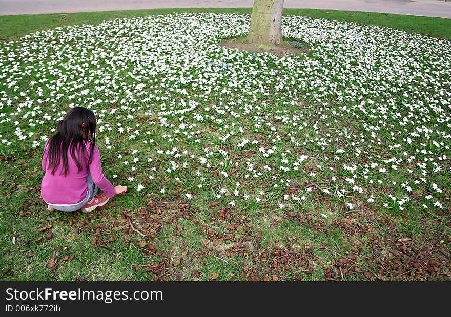 Green spring landscape with child playing in the flower under a tree. Green spring landscape with child playing in the flower under a tree