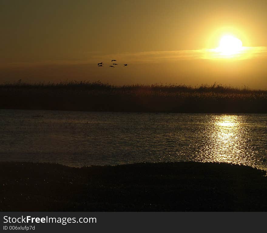 Sunrise at Anahuac National Wildlife Refuge. Sunrise at Anahuac National Wildlife Refuge