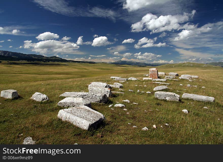 Summer landscape