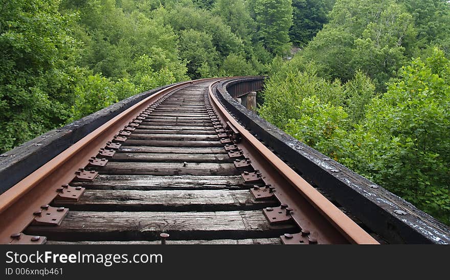 Railroad track curving into the woods, low angle. Railroad track curving into the woods, low angle