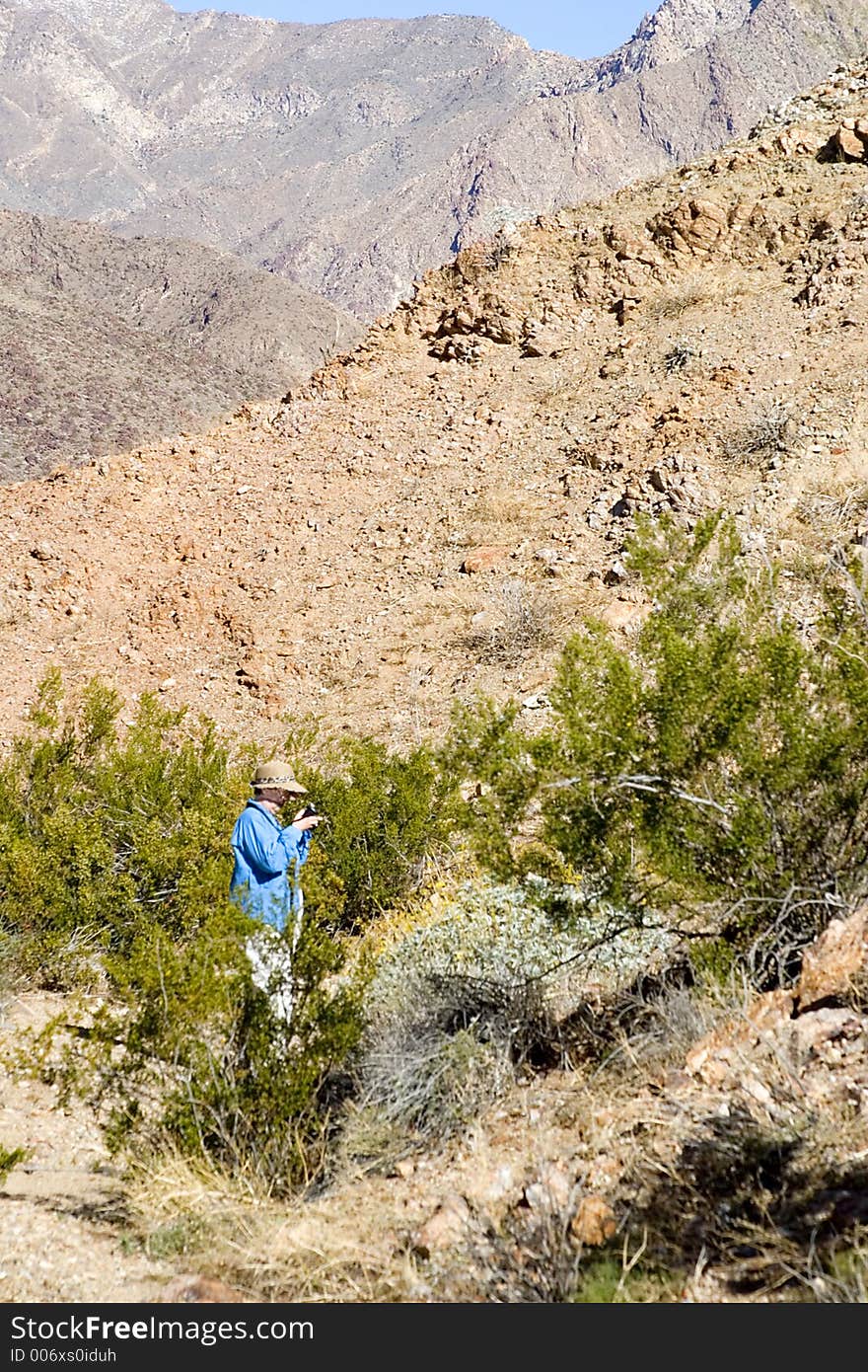 Mature women hiker taking pictures of desert flowers during a long hike in the desert.