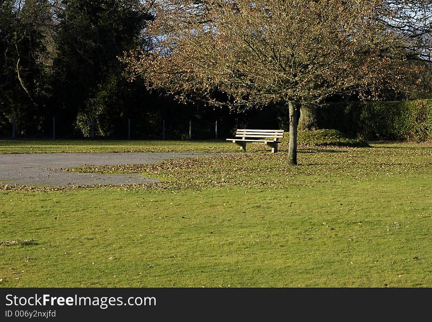 An empty park bench catches the autumn light surrounded by fallen leaves. An empty park bench catches the autumn light surrounded by fallen leaves