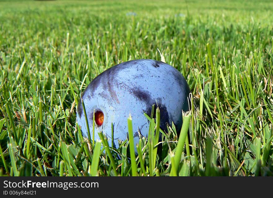 Plum in the grass