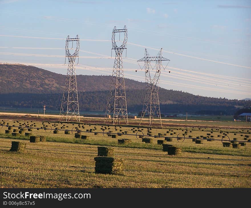 Alfalfa field hayed and bailed under the power transmission lines. Alfalfa field hayed and bailed under the power transmission lines.