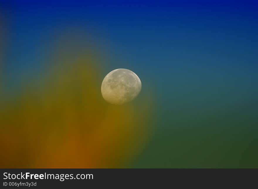 (toxic) Moon from behind the trees and blue sky