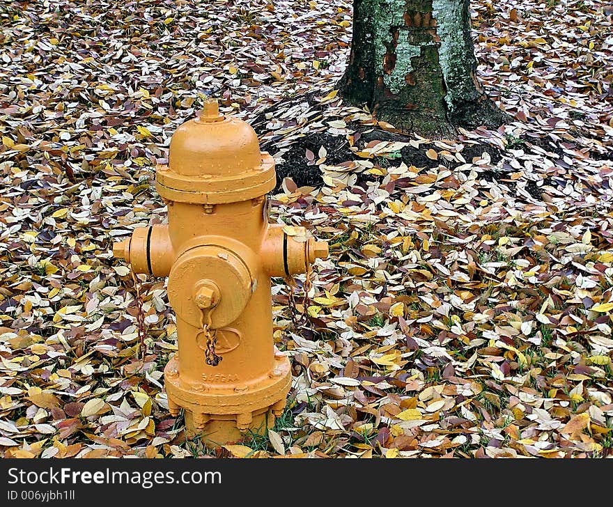 Hydrant taken in the fall with dead leaves. Hydrant taken in the fall with dead leaves