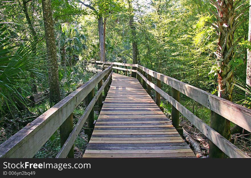 Park Walkway