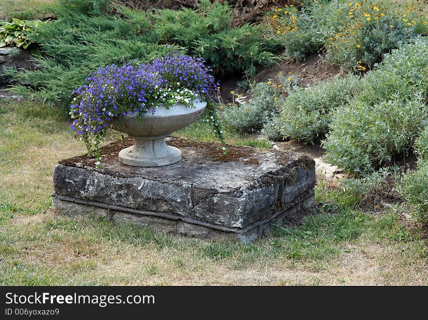 Flowerpot with blue flowers.