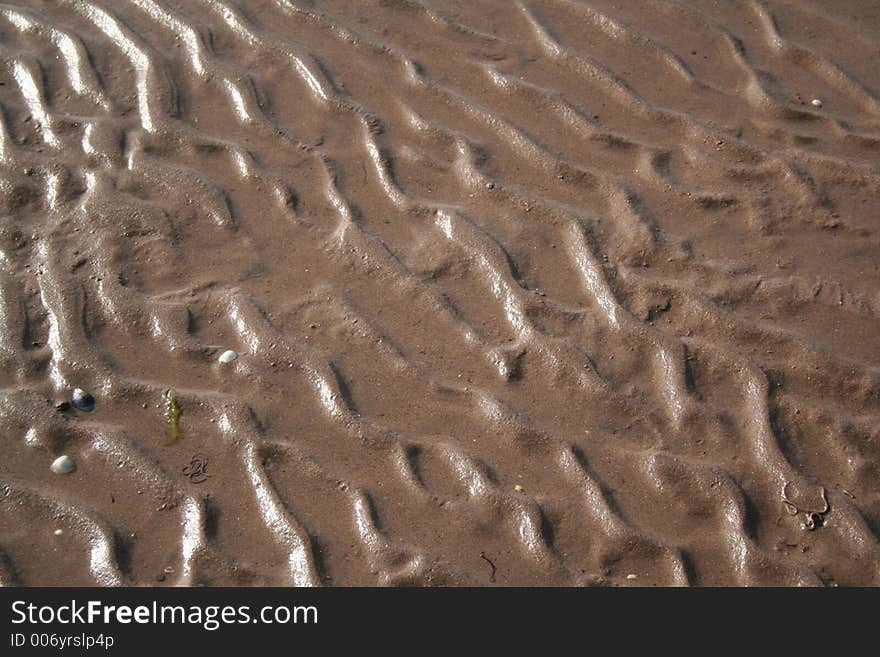 Wet sand on a beach