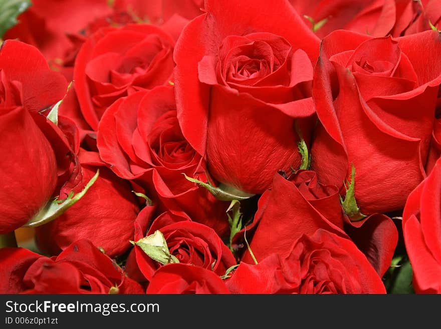 Red roses