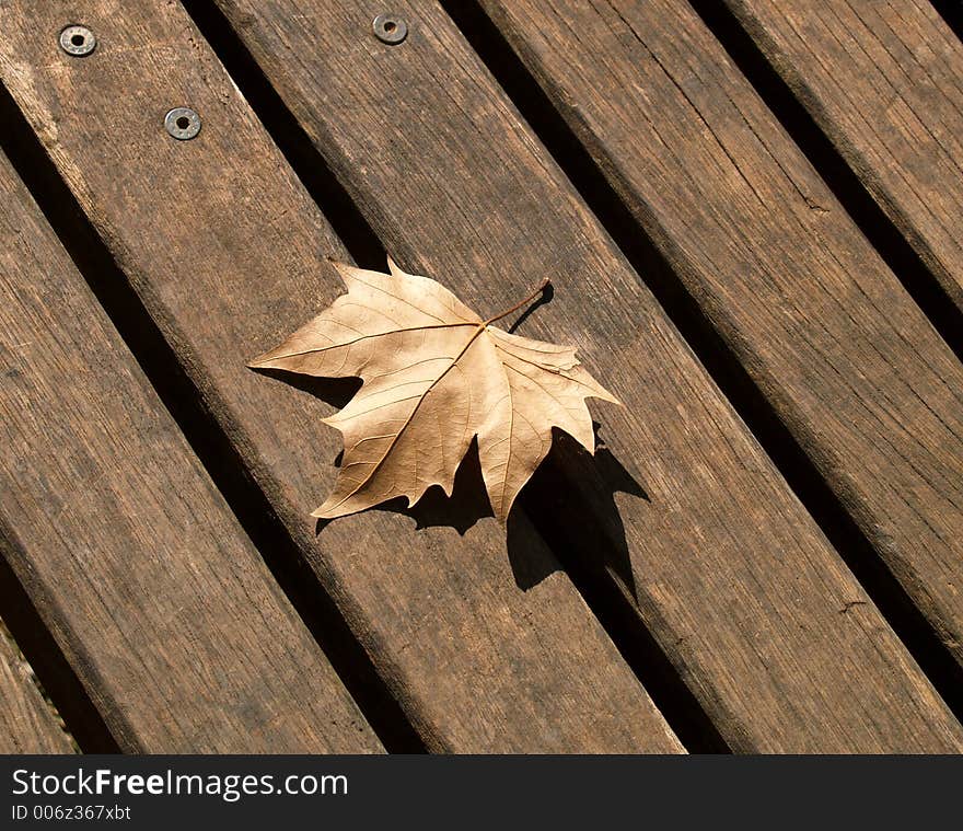 Leaf And Wood