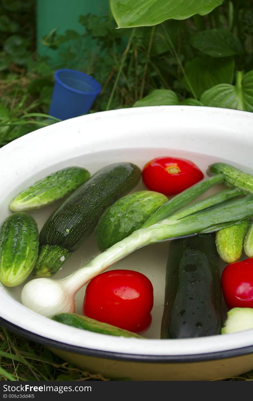 Vegetables In The Basin: Tomatoes, Cucumbers, Onion