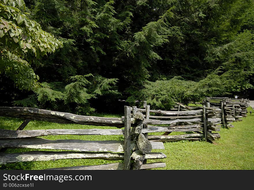 Split Rail Fence and Pines