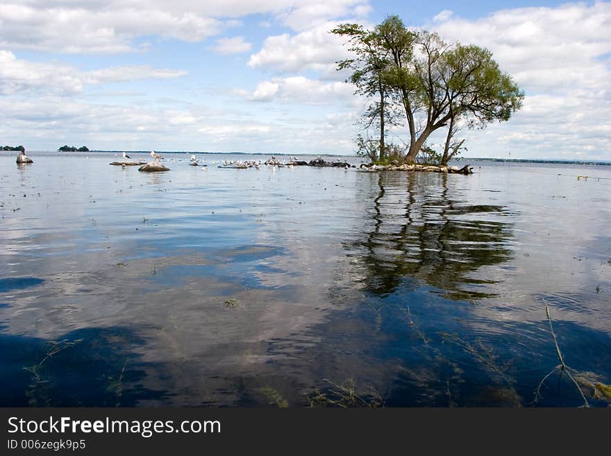 A small island in the lake is host to a group of trees. A small island in the lake is host to a group of trees