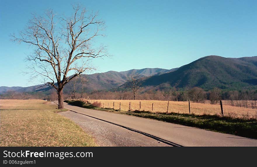 Cades Cove Christmas Day Drive