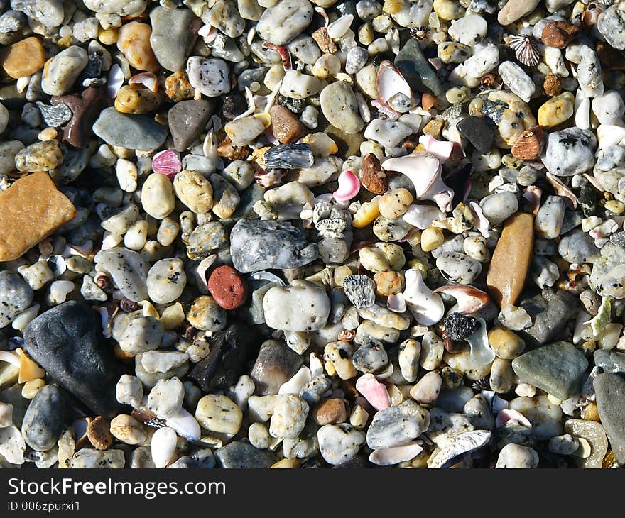 Shells And Pebbles Texture