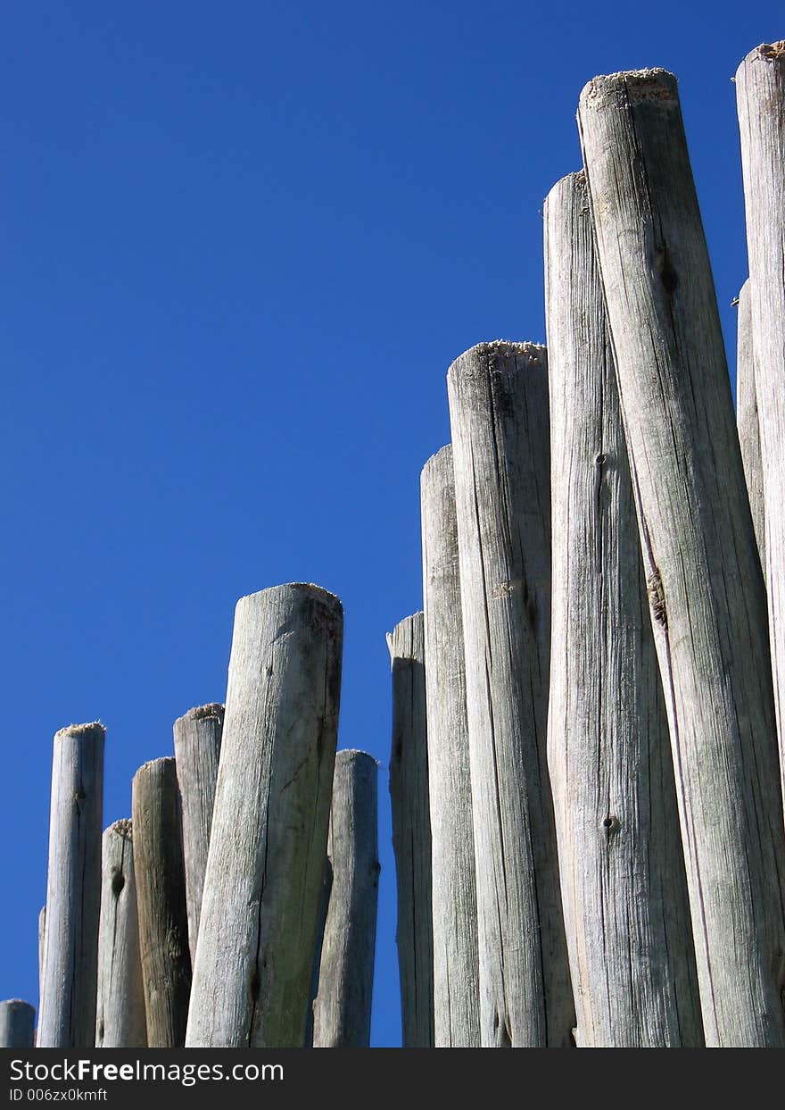 Portrait photo of bleached wood poles. Portrait photo of bleached wood poles.