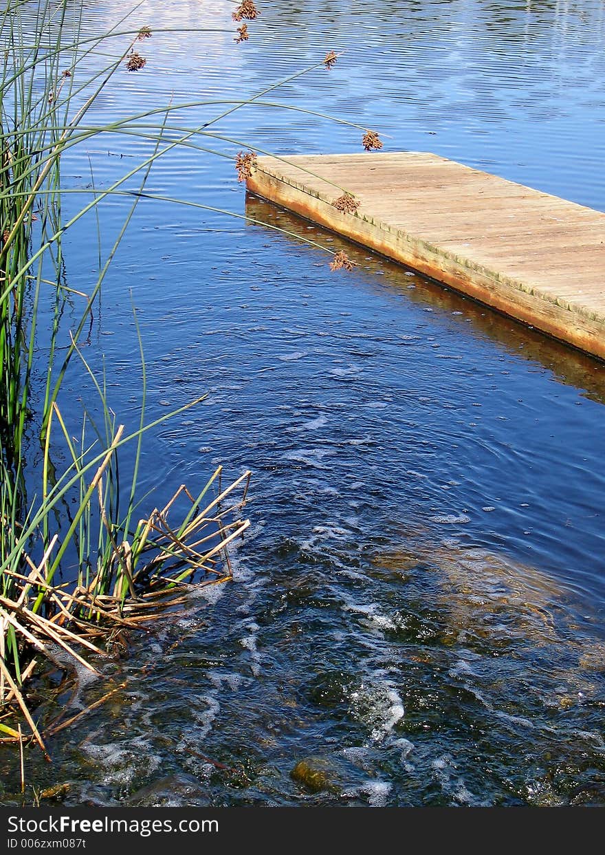 Portrait photo of wetland area. Portrait photo of wetland area.