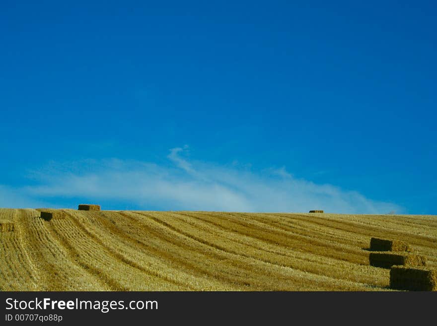 Bales of starw in a field against a blue sky. Bales of starw in a field against a blue sky