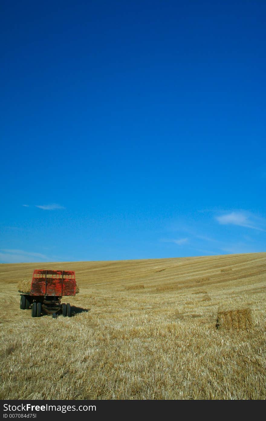 Bales of starw in a field against a blue sky. Bales of starw in a field against a blue sky