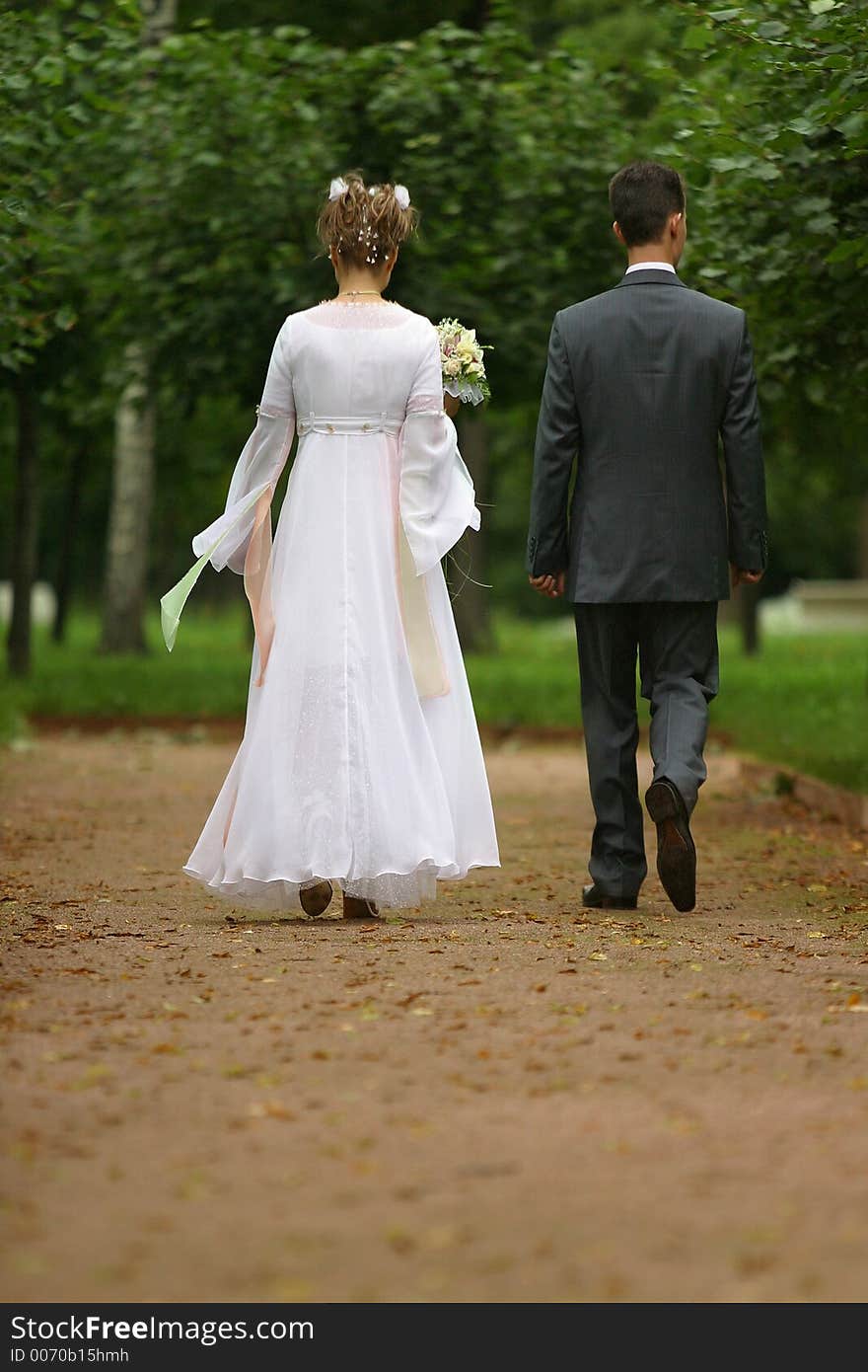 The bride and the groom in park. The bride and the groom in park