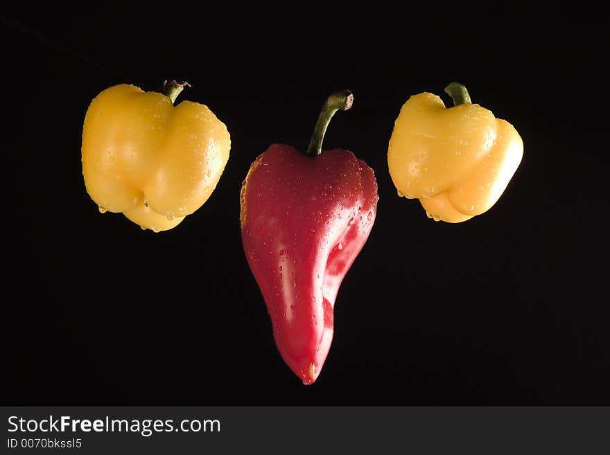 Still life with paprika. Still life with paprika