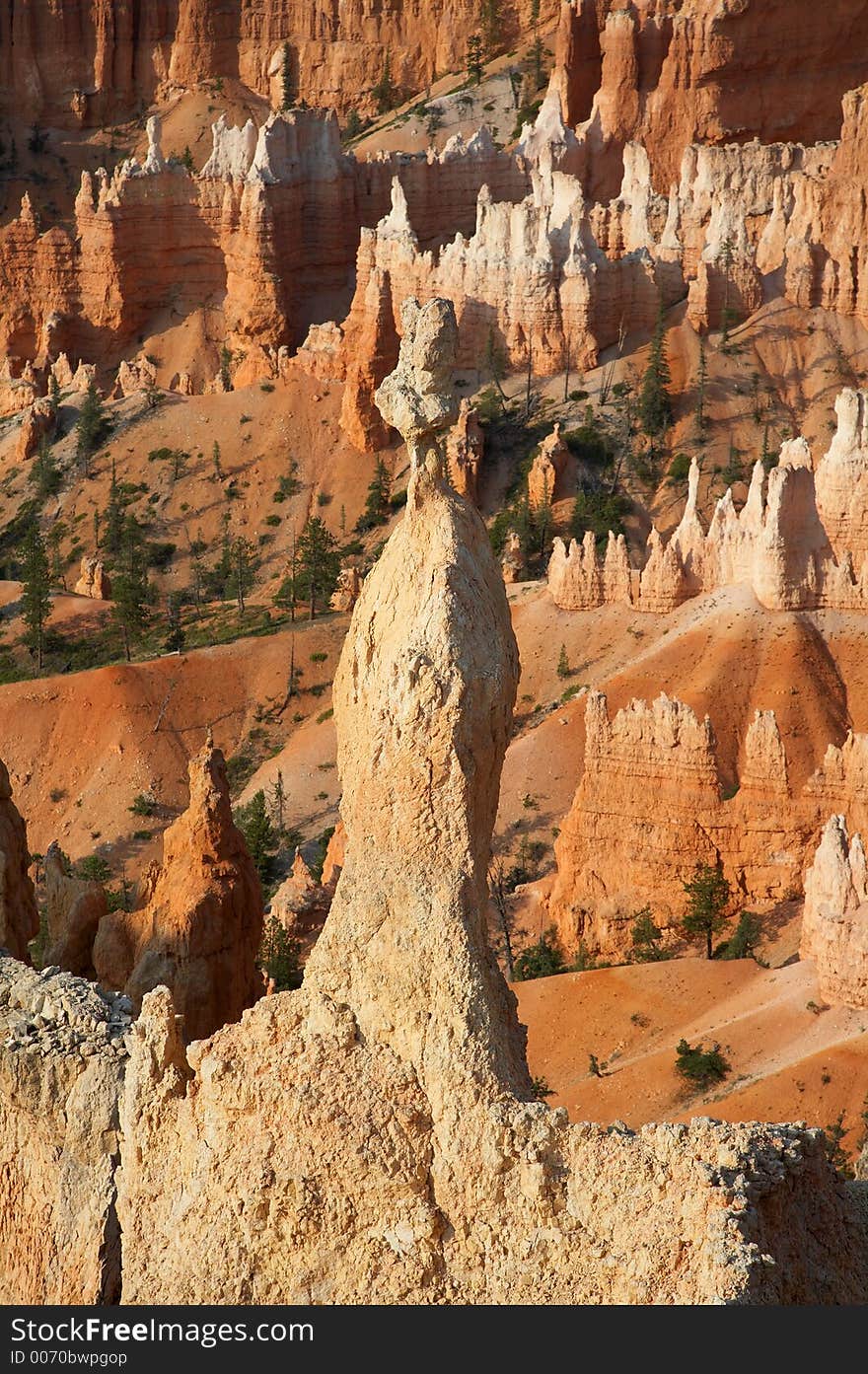 Bryce Canyon Hoodoo