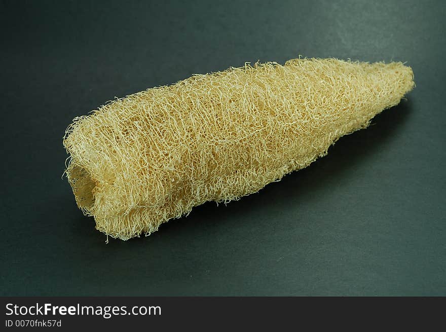 Natural Sponge