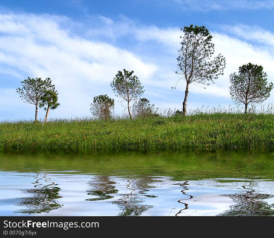 Trees And Water